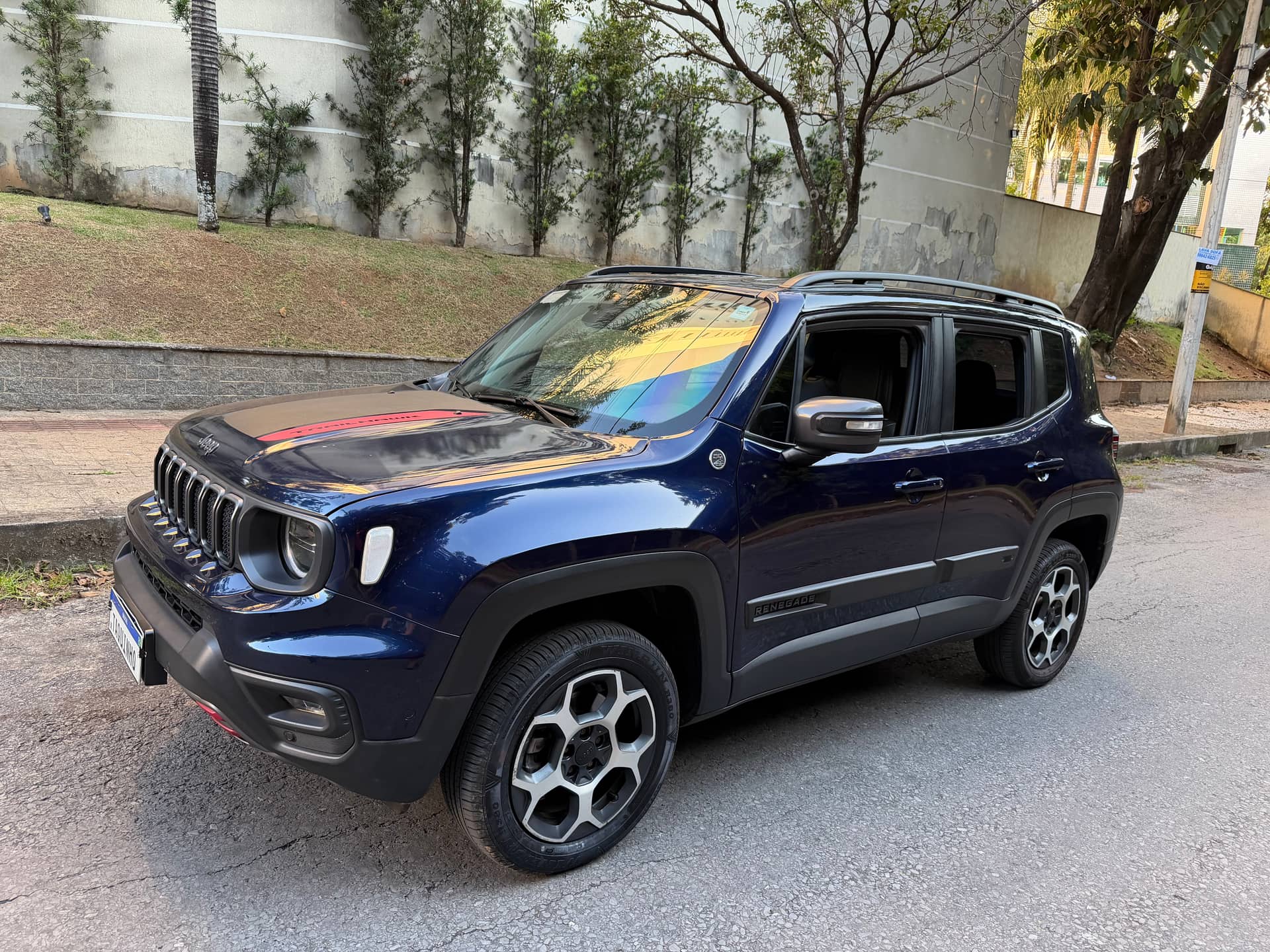 Jeep Renegade Trail hawk 2024